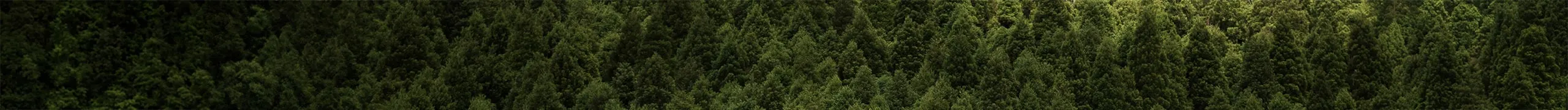 Processo de criação da camiseta essencial OITONOVE Design minimalista e durável da camiseta OITONOVE sendo desenvolvido por artesão